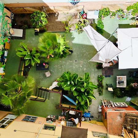 Jungle House Las Palmas de Gran Canaria Exterior foto